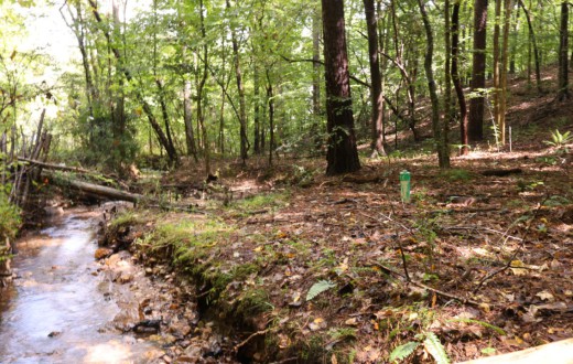 LAND IN LAUREL HILLS, Raleigh