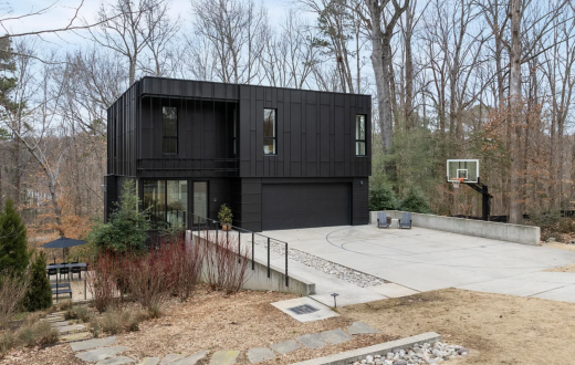 Modernist Tree House